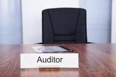 IRS_Tax_Auditor_Shortage_-_Small