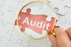 IRS Audits 