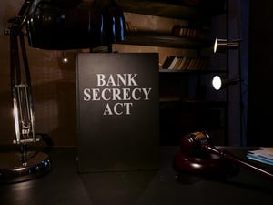 IRS:CI