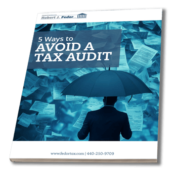 Avoid a Tax Audit eBook