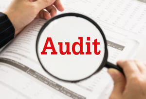 IRS audit