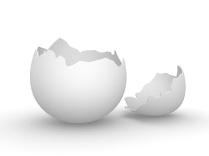 eggshell audit