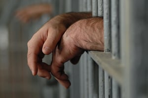 employment tax fraud