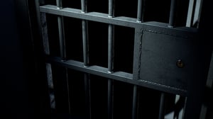 in prison from tax fraud