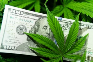 marijuana industry