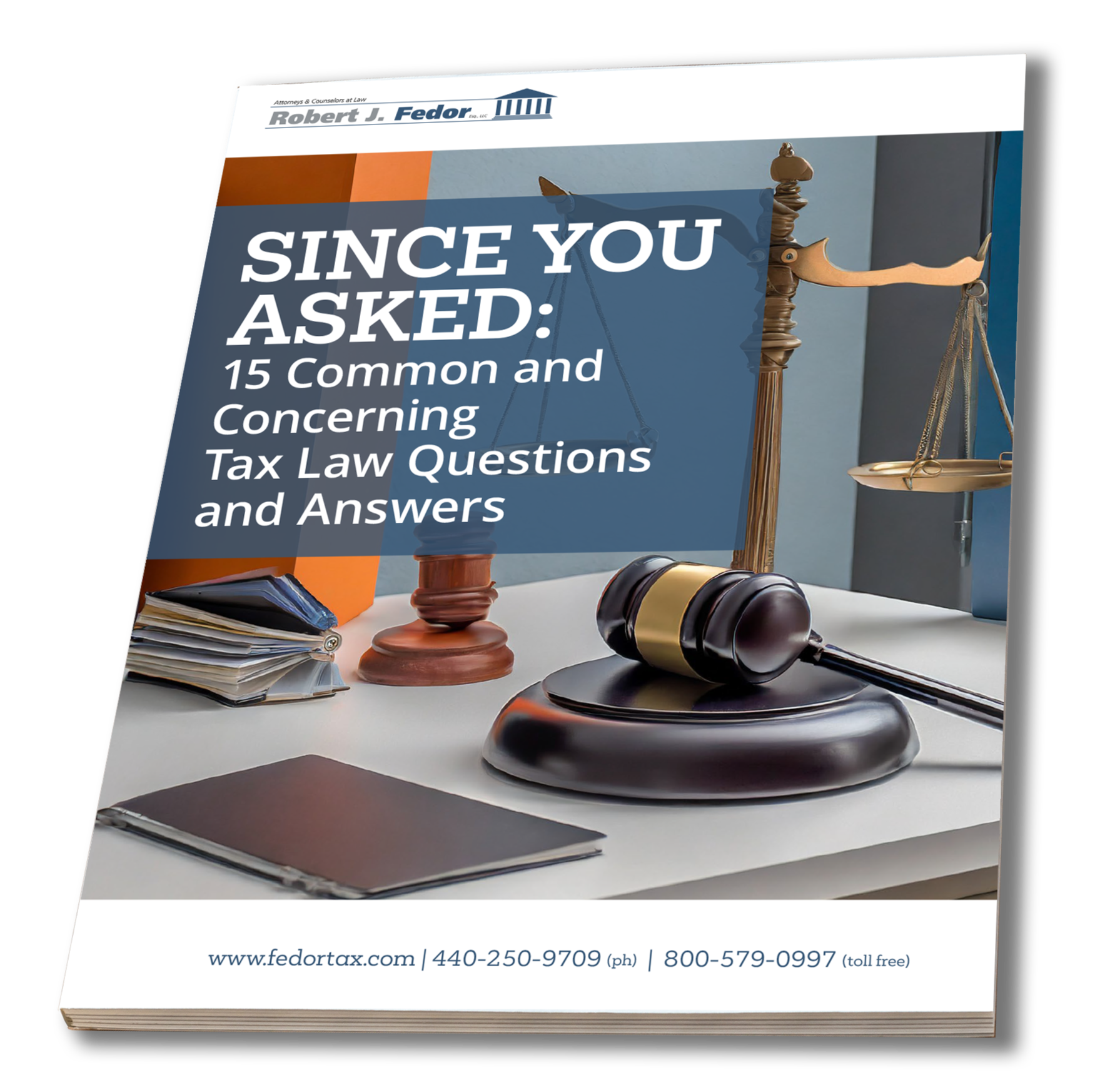 Fedor FAQ eBook CTA 2025-1