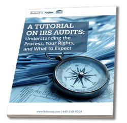 Fedor IRS Audit Tutorial eBook