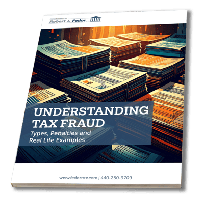 Fedor Understanding Tax Fraud 2025 COVER-1