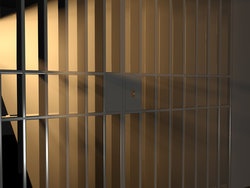criminal tax matters